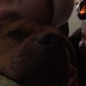 Meet your Posher, Alan